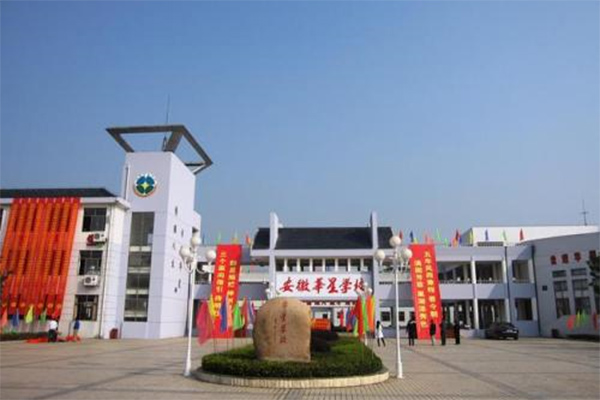 安徽華星學校
